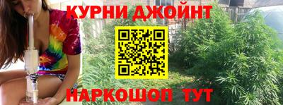 спайс Тара