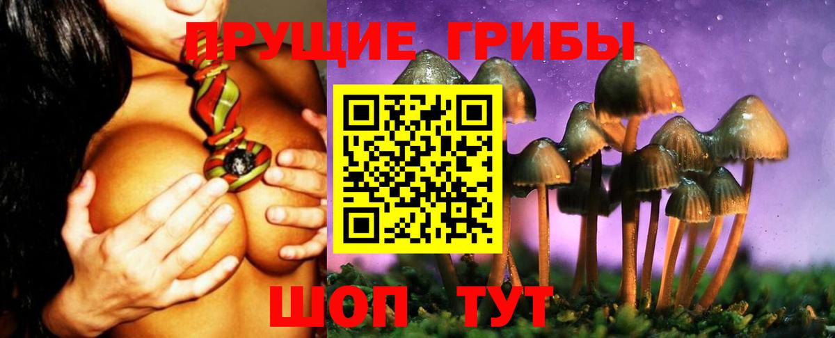 Псилоцибиновые грибы ЛСД  Вход с VPN  Псилоцибиновые грибы Magic Shrooms  Саранск 